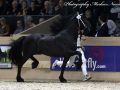 IMG_7766-Willem-508