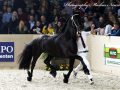 IMG_7792-Willem-508