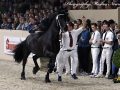 IMG_7834-Willem-508