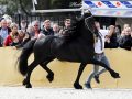 IMG_9356-Willem-508