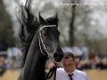 IMG_9376-Willem-508