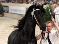 IMG_1145-Wimer-461