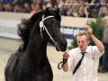 IMG_1175-Wimer-461