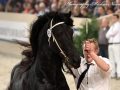 IMG_1176-Wimer-461