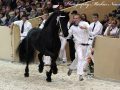 IMG_1338-Wimer-461