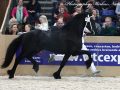 IMG_1352-Wimer-461