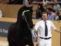 IMG_1376-Wimer-461