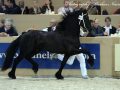 IMG_1425-Wimer-461