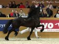 IMG_2299-Wimer-461