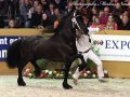IMG_2304-Wimer-461