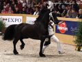 IMG_2344-Wimer-461