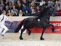 IMG_3572-Wimer-461