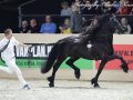 IMG_3577-Wimer-461
