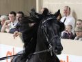 IMG_3596-Wimer-461