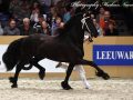 IMG_8469-Wimer-461