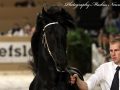 IMG_8877-Wimer-461