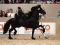 IMG_9118-Wimer-461