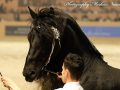 IMG_9195-Wimer-461