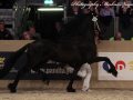 IMG_9212-Wimer-461