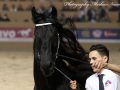 IMG_9224-Wimer-461