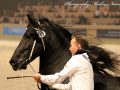 IMG_9261-Wimer-461
