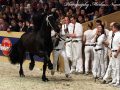 IMG_9303-Wimer-461
