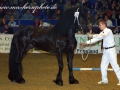 img_3008-wisse408