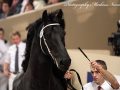 IMG_1475-Wolfert-467