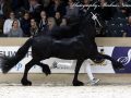 IMG_3662-Wolfert-467