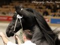 IMG_9111-Wolfert-467