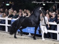 IMG_6005-Wolter-513