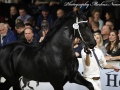 IMG_6013-Wolter-513