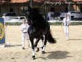 IMG_9276-Waander-512