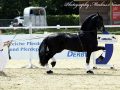 IMG_9327-Waander-512