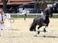 IMG_9376-Waander-512