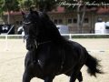 IMG_9427-Waander-512