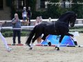 IMG_9461-Waander-512