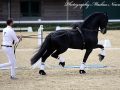 IMG_9480-Waander-512