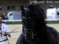 IMG_9521-Waander-512-Kopf