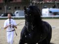IMG_9521-Waander-512