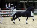 IMG_9542-Waander-512