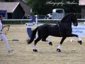 IMG_9558-Waander-512