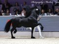 IMG_9598-Wolter-513