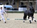 IMG_9612-Waander-512