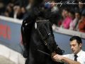 IMG_9619-Wolter-513