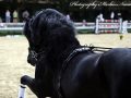 IMG_9637-Waander-512