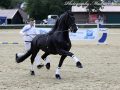 IMG_9644-Waander-512
