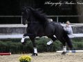 IMG_9675-Waander-512