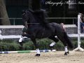 IMG_9769-Waander-512