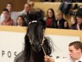 IMG_2597-Wybren-464